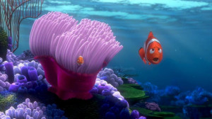 Finding-Nemo-finding-nemo-3561558-853-480.jpg