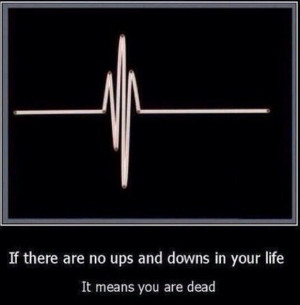 No ups and downs...quote