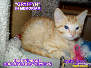 Cat Rest In Peace Quotes