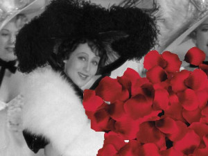 american beauty quotes plastic bag