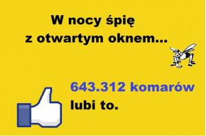 Uploaded to Pinterest