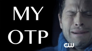 According to Urban Dictionary, OTP is the “meaning of your favorite ...