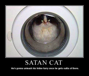 22 Inspirational Cat Posters that will Motivate and Entertain You