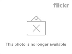 Tags: pictures flowers blue roses flower words no feelingblue quotes ...