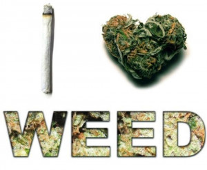 Love Weed Infographic. It says it all. I want a T-Shirt that says ...