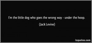 the little dog who goes the wrong way - under the hoop. - Jack ...