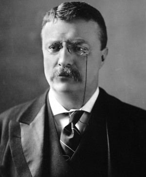 Image search: Theodore Roosevelt Famous Quotes
