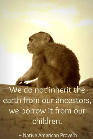 We borrow the earth from our children