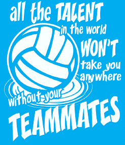 Volleyball Motivational Team Quotes