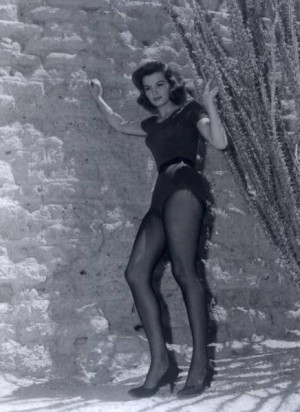 Previous | Back to Gallery4 | Next »