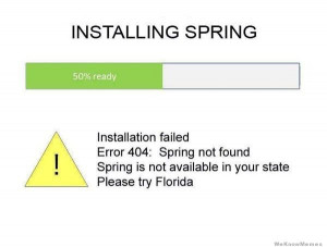 Installing Spring – Installation failed 404 Spring not found