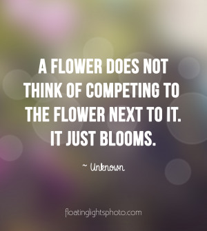 flower-does-not-think-of-competing.jpg