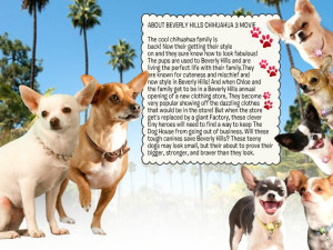 Disneycomcreate About Beverly Hills Chihuahua 3 Moviemaker12 picture