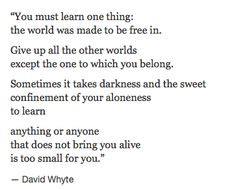 David Whyte