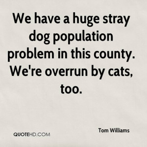 We Have A Huge Stray Dog Population Problem In This County. We’re ...