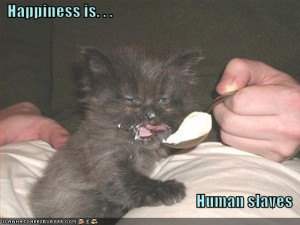 But a funny thing started to happen... Princess actually decided that ...