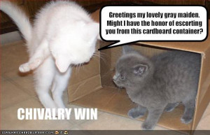 REPLAY: Simple Chivalry