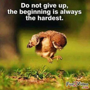 not giving up funny inspirational quotes about not giving up