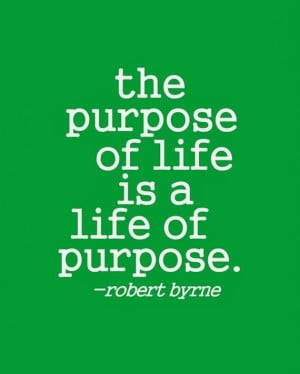 The purpose of life is a life of purpose