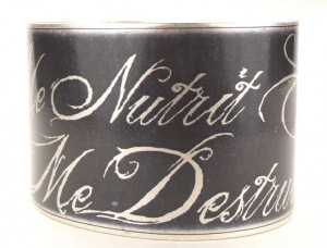 Latin Quote Bracelet What Nourishes Me Destroys Me by accessoreads, $ ...