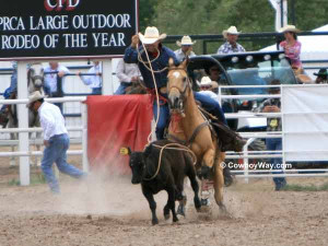 Roping Quotes Tie down roping photos