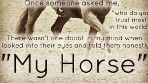 trust him even thought he is a half ton animal that can kill me with ...