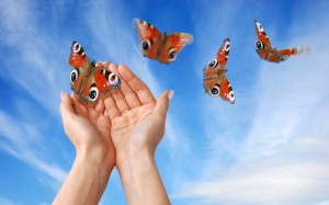 Butterfly Hands Wallpaper 2560x1600 Butterfly, Hands, Skyscapes ...