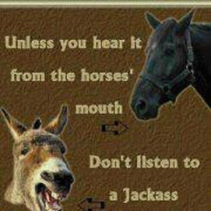 Unless you hear it from the horses mouth