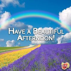 Have a beautiful Afternoon quotes quote afternoon good afternoon good ...