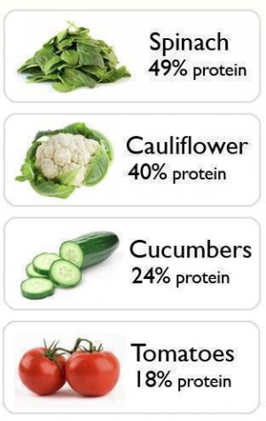 How to Pack Some Protein Rich Veggies into Your Diet by Anne's ...