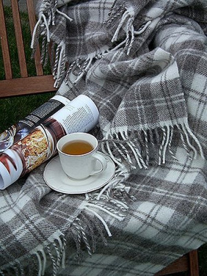 Soft cozy grey plaid blanket, hot tea in a pretty cup and a lovely ...