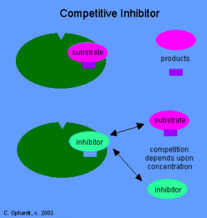 Enzyme Inhibitors