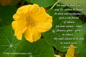 ... silence ... We need silence to be able to touch souls. ~ Mother Teresa