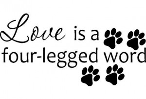 ... Rooms, Quotes Wall, Quote Wall, Quotes Sayings, Wall Stickers, Animal