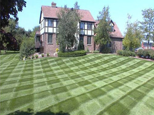 Lawn Care Stripes