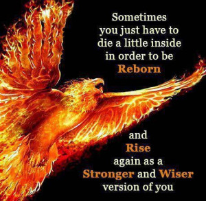 Rise again and be stronger and wiser