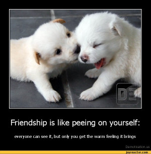 Friendship is like peeing on yourself:everyone can see it, but only ...