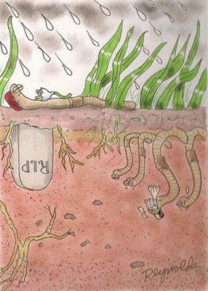 Was machen die Regenwürmer mit ihren Toten?