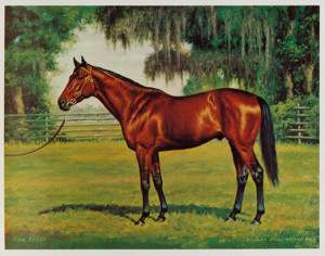 Thoroughbreds I Have Known With foreword by Whitney Tower and