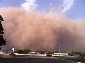 More dust storms expected as Texas drought lingers