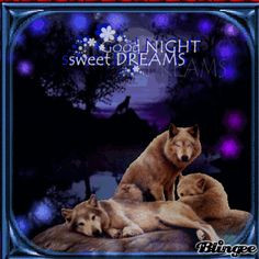 good nite wolves | good night wolf's Picture #131649777 | Blingee.com ...