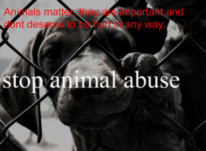 Please Stop Animal Abuse!!! It’s Important!!!