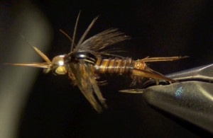 Tying The Stonefly Nymph...