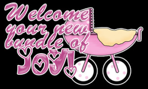 Welcome Your New Bundle Of Joy! picture