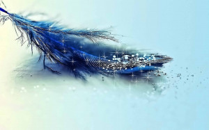 Glitter Blue Feather Wallpapers
