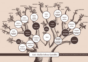 The Life Of Vithal Balkrishna Gandhi