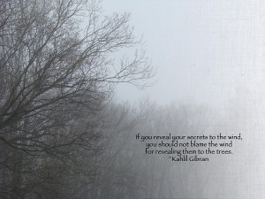 Trees And Fog And Khalil Gibran Quote Photograph