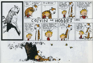11 Calvin And Hobbes - Life Is A Miracle [11 of 22]