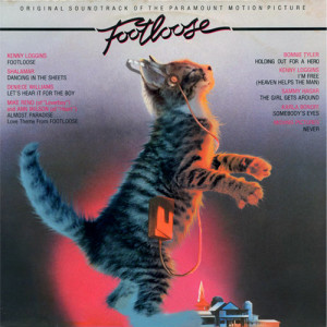 Lustige Katzenbilder begeistern im Internet Millionen. Auf ...