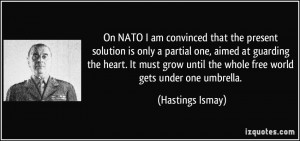 On NATO I am convinced that the present solution is only a partial one ...